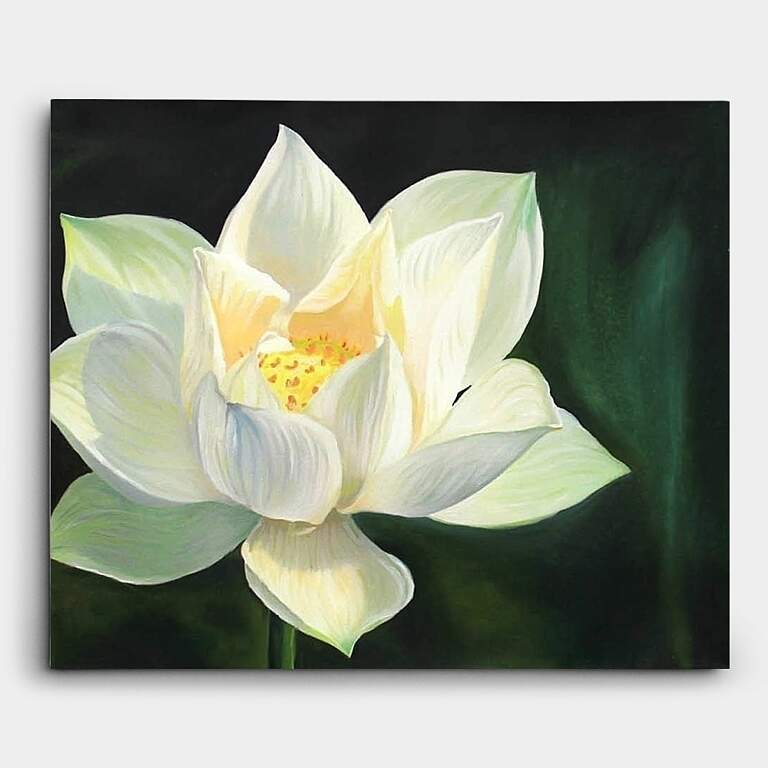 白い蓮の花が一輪咲いているシンプルな絵